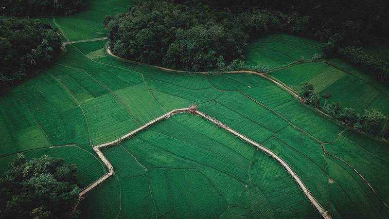 Concentrate Farming To Leave Room For Species And Carbon 