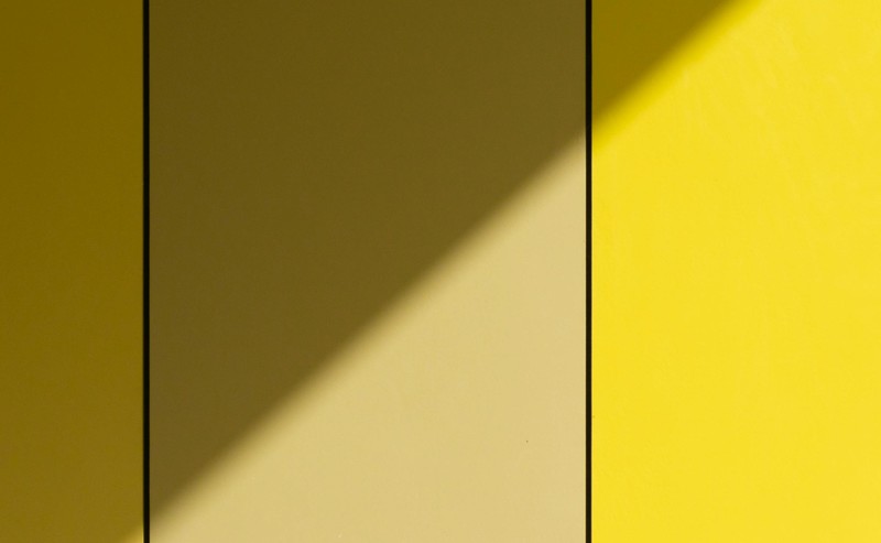 Pexels Vlado Paunovic 1567547 6422563