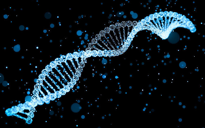 Cc Shutterstock 338933429 16x9