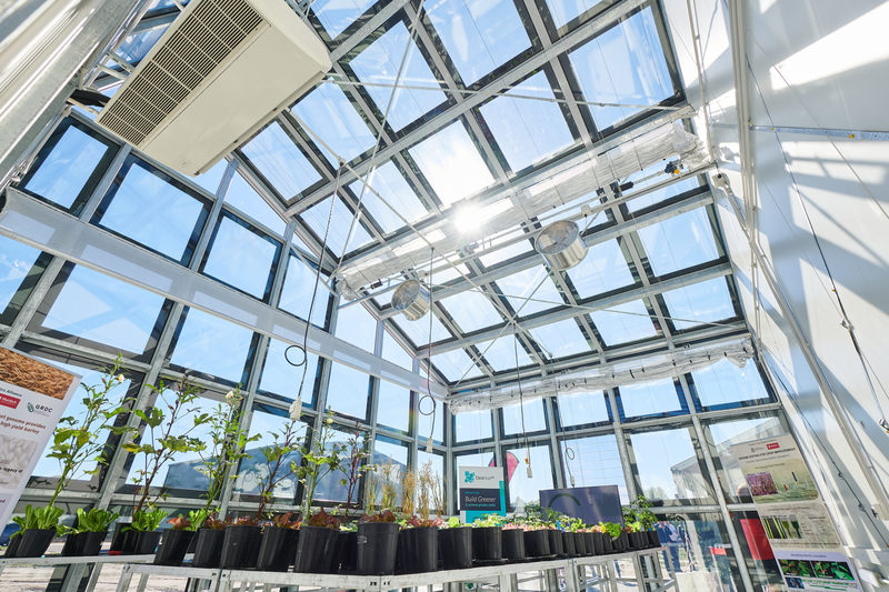 5. Greenhouses