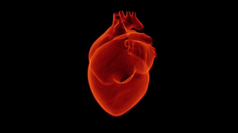 Heart G0fe7f8dac 1920
