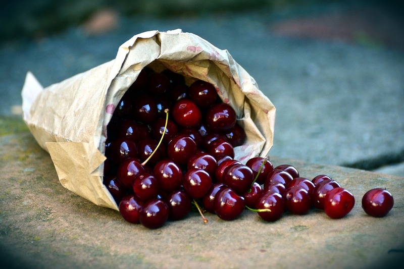 Pezoporia