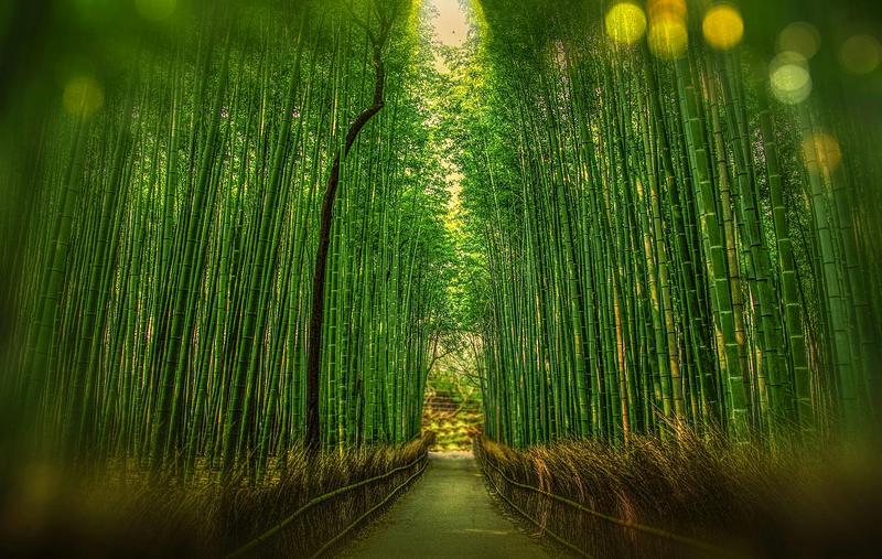 Pexels Pixabay 248812