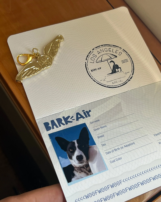 Bark Air-dog-first hospitality: Πάρε και τον άνθρωπό σου μαζί! 