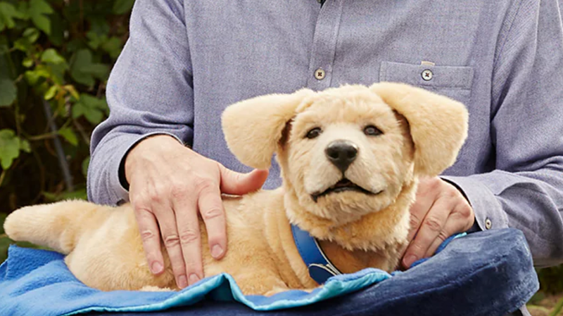 Ρομποτικά ζωάκια συντροφιάς για την άνοια και τη μοναξιά