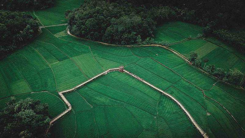Concentrate Farming To Leave Room For Species And Carbon 