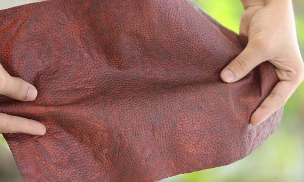 Fleather Image 1 627x375